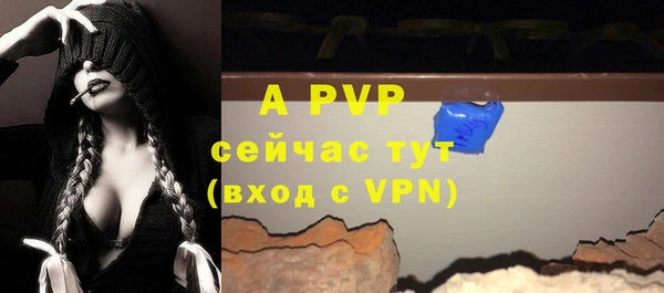 дмт Арсеньев