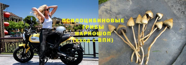 дурь Армянск
